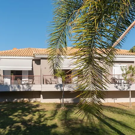 Dion Zois * Foinikounda