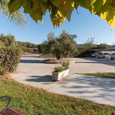 Dion Zois * Foinikounda