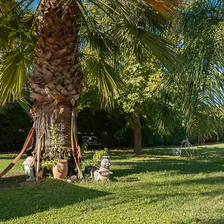 Appartement Dion Zois