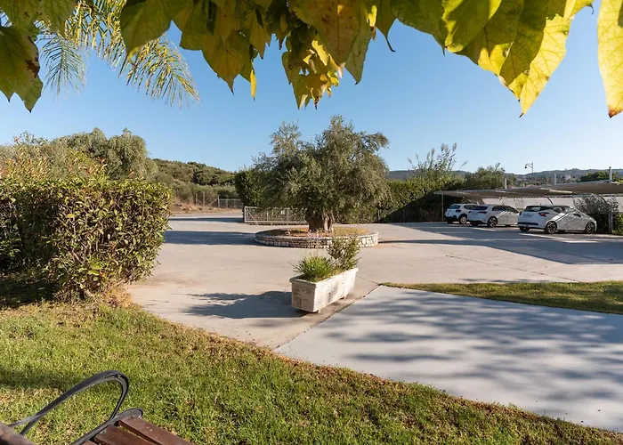 Dion Zois * Finikounta